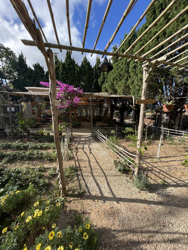 Others 4, Pine Tree Homestay, Đà Lạt