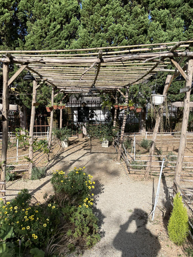 Others 5, Pine Tree Homestay, Đà Lạt