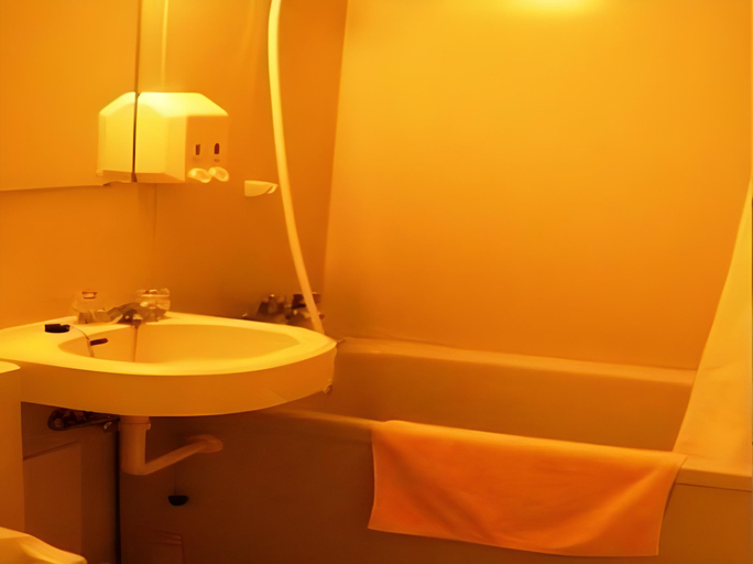 Bathroom 3, Hotel Ark 21, Kurayoshi