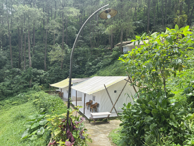 Masada Village Resort Room Type - Glamping Bell Tent