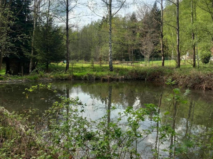 Others 5, Quiet Chalet with Garden, Moselle