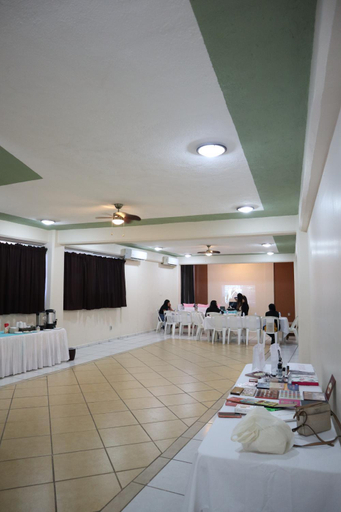 Others 5, Hotel Real Monrey Zihuatanejo, José Azueta
