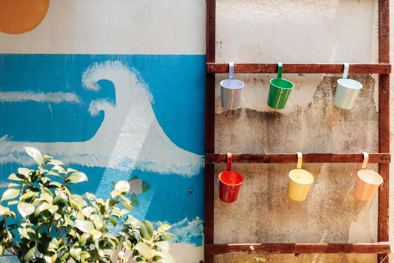 Food & Drinks 5, Casa da Avo Bela, Figueira da Foz
