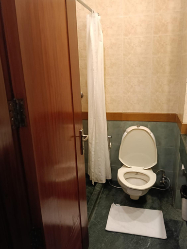 Bathroom 5, The Hans Coco Palms Hotel, Puri