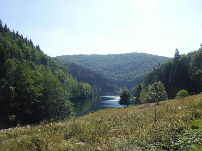 Others 5, Forest Retreat with Garden, Ilm-Kreis