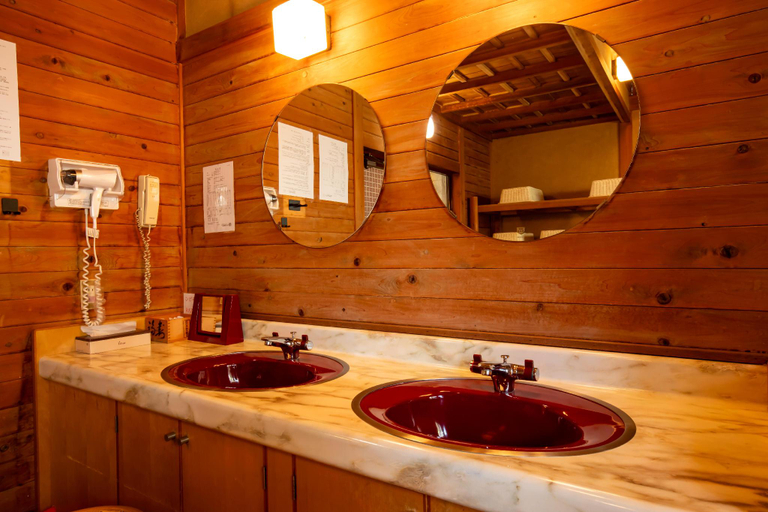 Bathroom 5, Yudanaka Onsen Shimaya, Yamanouchi
