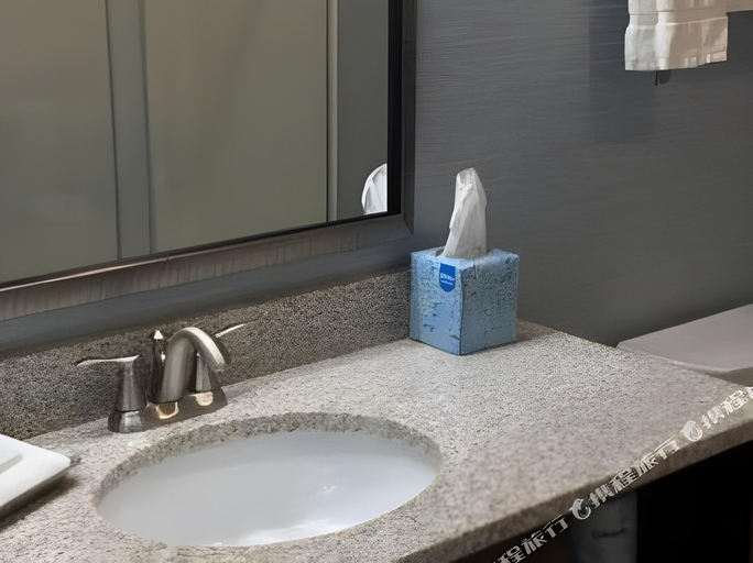 Bathroom 4, The Baywatch Resort, Grand Traverse