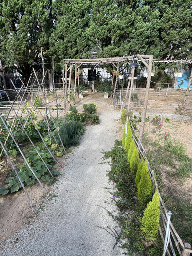 Others 5, Pine Tree Homestay, Đà Lạt