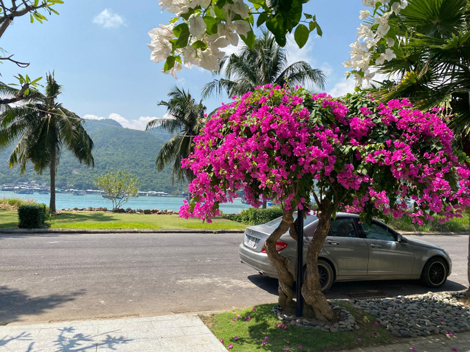 4, M Villa Nha Trang, Nha Trang