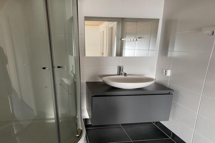 Bathroom 3, Chalet in Friesland near Alde Feanen Park, Smallingerland