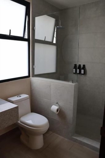 Bathroom 3, Atrio Polanco, Mexico City