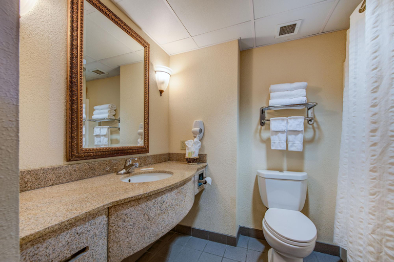 Bathroom 4, River Bend Inn - Pigeon Forge, Sevier