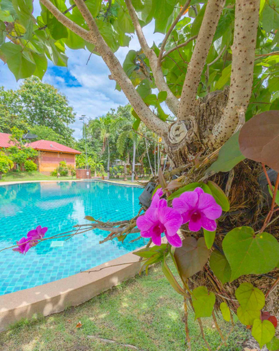 Others 5, The Green Oasis Resort, San Kamphaeng