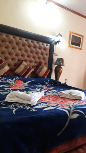 Room 2, Blooming Dale, Srinagar