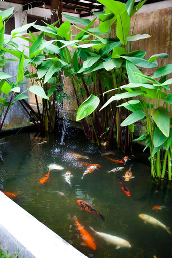 Public Area 2, Ayara Villas, Takua Pa