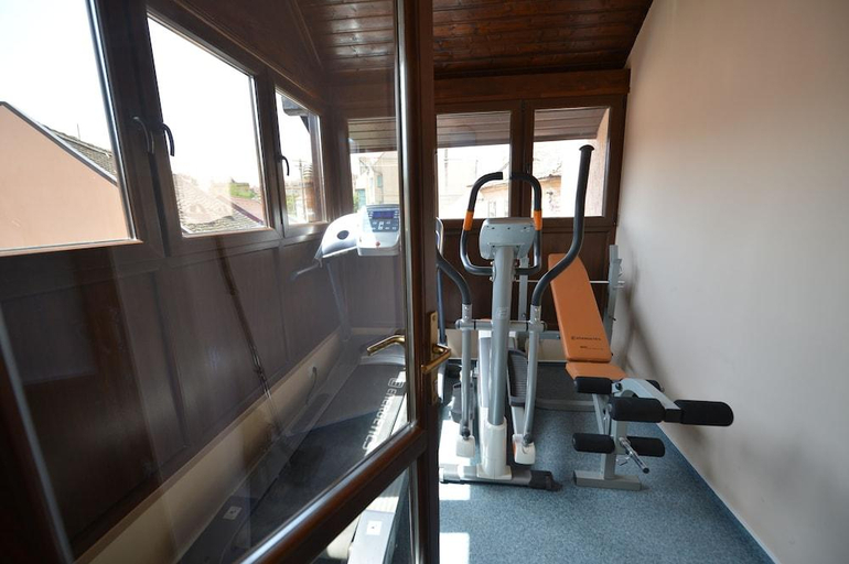 Others 5, Hotel Noblesse Boutique, Sibiu