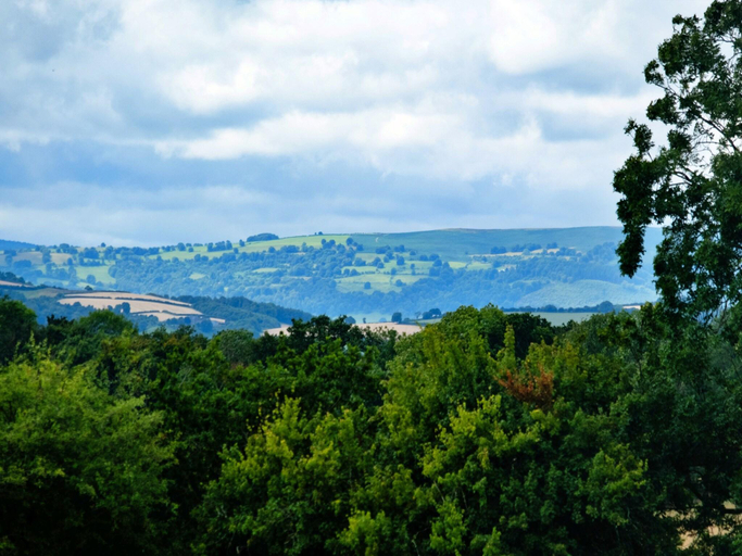 4, Cottage in Monmouthshire near Wye Valley, Torfaen