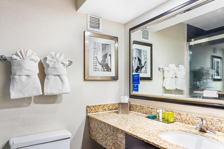 Bathroom 5, DoubleTree by Hilton Roseville Minneapolis, Ramsey