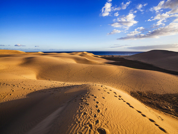 5, Apartment in Gran Canaria near Maspalomas Dunes, Las Palmas