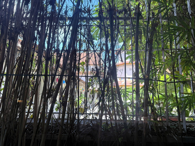 Exterior 5, TRONG MO, Da Nang