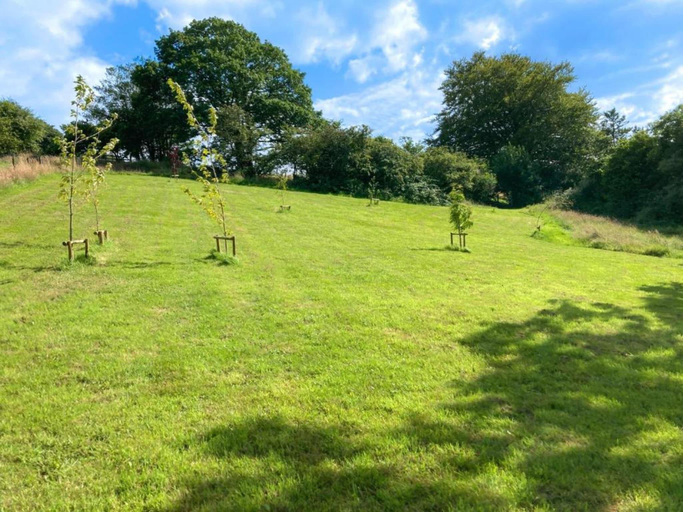 4, Cabin in New Forest with Private Woodland, Hampshire