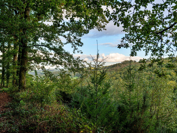 5, Lodge in High Bickington near River Taw, Devon