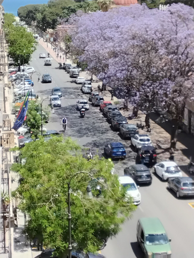 View from room 5, Anninedda rooms, Palermo