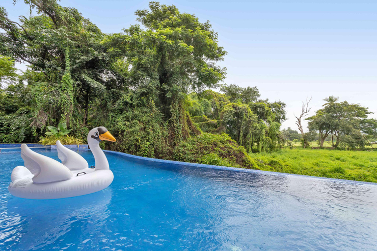 Sport & Beauty 2, Tastefully done 1BHK Lux apartment, North Goa