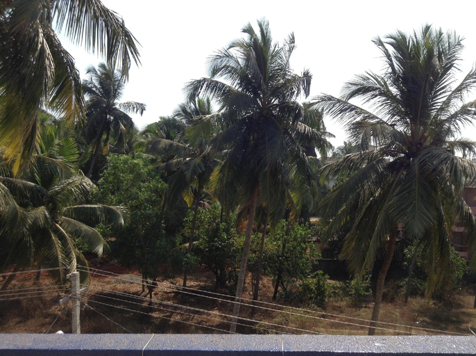 Others 5, Calangute Apartments, North Goa
