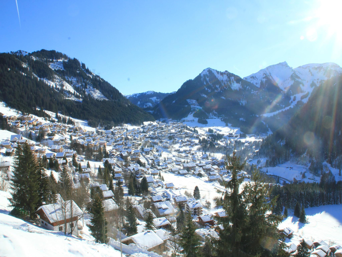 Others 5, Apartment near Portes du Soleil ski area, Haute-Savoie