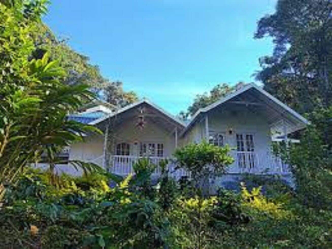 Aerial view, Rain Forest Resort - Munnar, Idukki