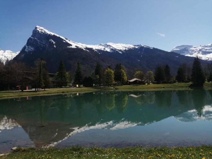 5, Chalet in Morillon with Heated Pool, Haute-Savoie
