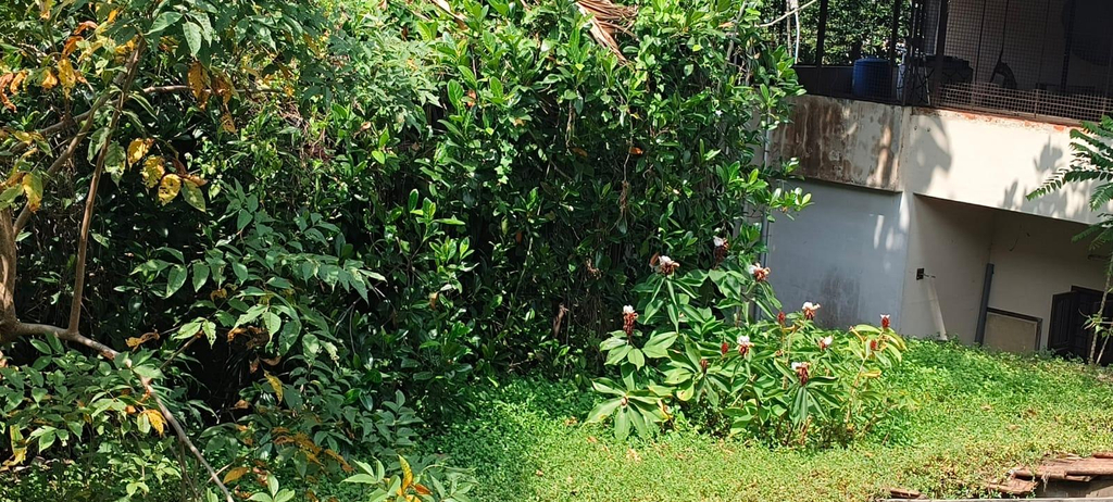 Others 5, Fort Kochi Villas, Ernakulam