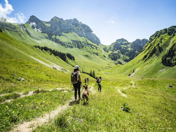 Others 5, Apartment with parking in Chatel, Haute-Savoie