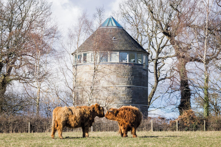 Front of property 4, Retreat to the Water Tower, Edinburgh