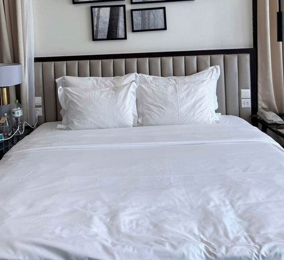 Room 3, TRONG MO, Da Nang