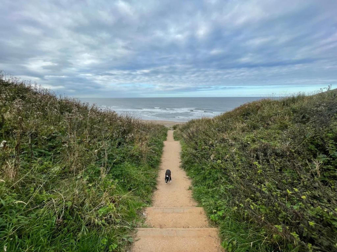 5, Apartment in Whitby near Whalebone Arch, North Yorkshire