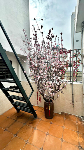 Balcony/terrace 4, S.Sens Service Apartment the heart of Old Quarter , Hoàn Kiếm