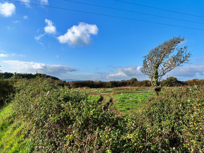 5, Cottage in Cornwall near St Michaels Mount, Cornwall