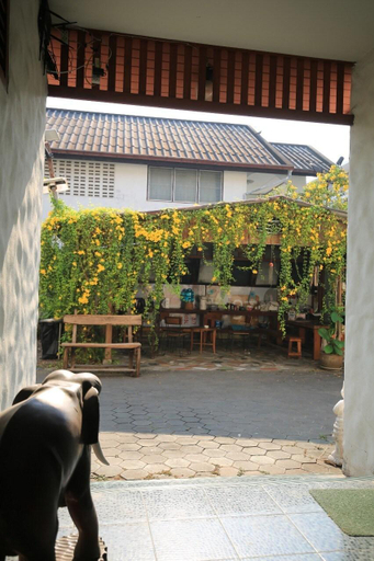 Others 4, Wua Lai Houses, Muang Chiang Mai