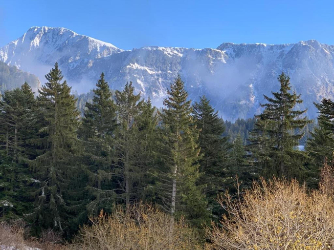 4, Ski-In Apartment in Chamrousse, Isère