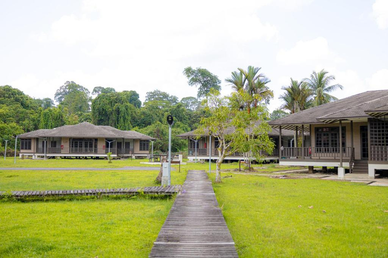 Sutera Horizon at Niah National Park, Miri