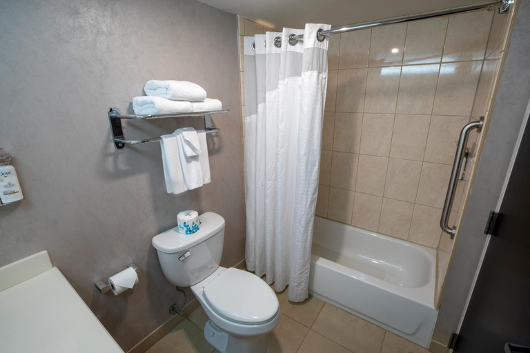 Bathroom 3, Holiday Inn Wilmington by IHG, Clinton