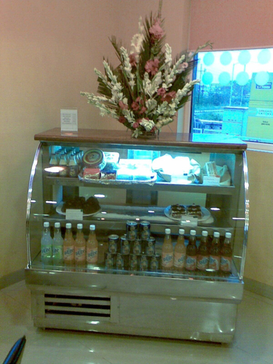 Breakfast area, HOTEL NARAYAN VILAS, Jaipur
