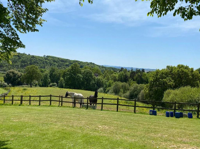 5, Cottage in Devon near Dartmoor National Park, Devon