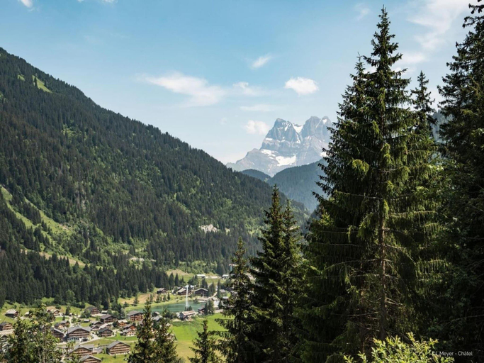 4, Apartment in Chatel near Lac de Vonnes, Haute-Savoie
