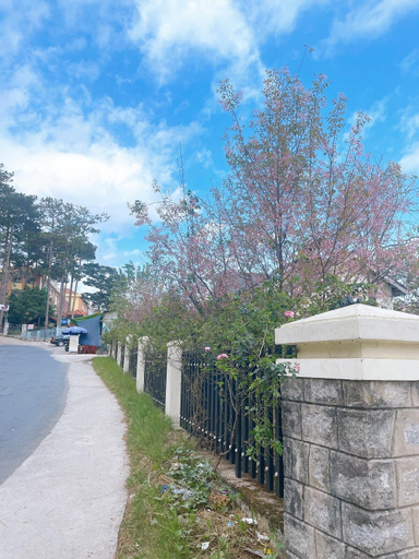 Others 5, Dalat Houses, Đà Lạt
