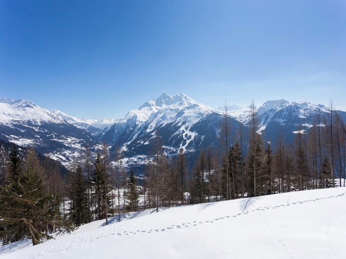 2, Apartment in La Rosiere near Ski Slopes, Savoie