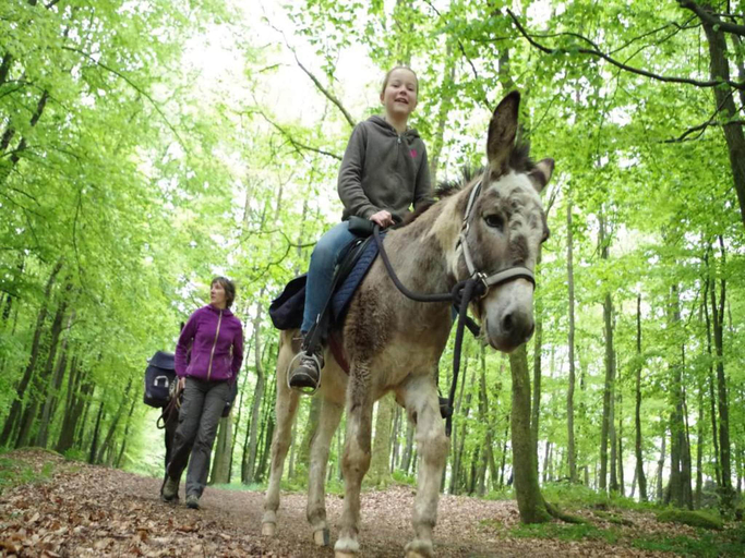4, Glamping Stay in the Ardennes, Ardennes