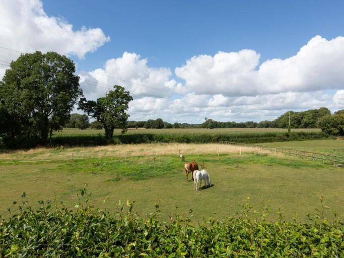 5, Cottage in Dorrington near Netley Hall, Shropshire